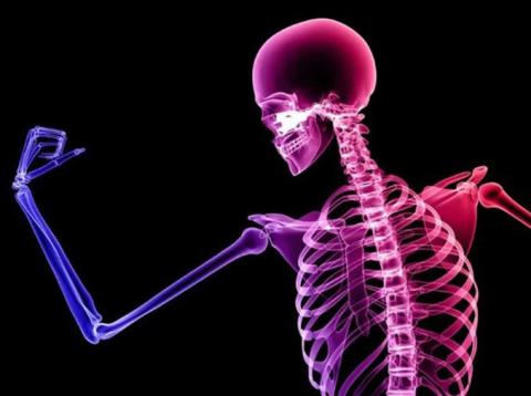Healthy Bones
